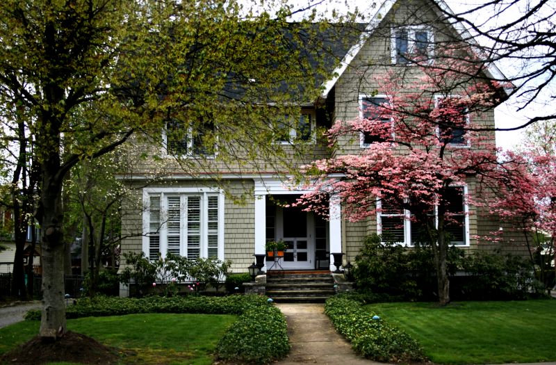 Privacy Trees Planting in Ventura County, CA